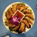 Pan-Fried Gyoza (10 pcs)